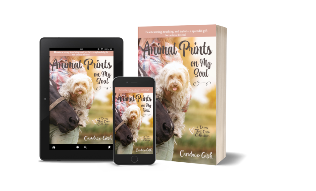 New Release! Animal Prints on My Soul - Absolute Love Publishing